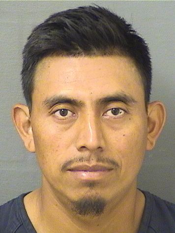  VERONICO RAMIREZLOPEZ Results from Palm Beach County Florida for  VERONICO RAMIREZLOPEZ