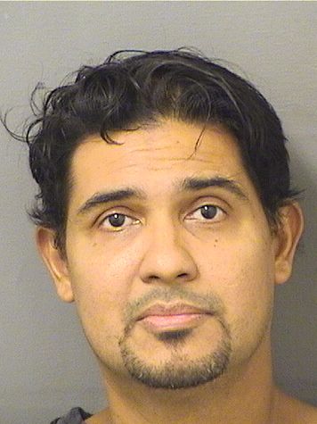  BYRON RAUL BRIZUELAAGURCIA Results from Palm Beach County Florida for  BYRON RAUL BRIZUELAAGURCIA