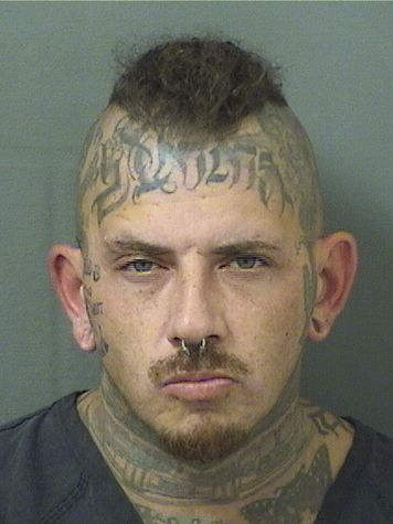  JOSEPH PAUL BOROW Results from Palm Beach County Florida for  JOSEPH PAUL BOROW
