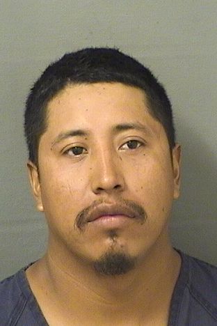  ENRIQUE ALEJANDRO ROBLEROHERRERA Results from Palm Beach County Florida for  ENRIQUE ALEJANDRO ROBLEROHERRERA