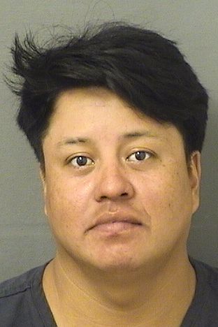  ERICO SALESDIAZ Results from Palm Beach County Florida for  ERICO SALESDIAZ