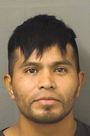  RAMON RUIZSALES Results from Palm Beach County Florida for  RAMON RUIZSALES