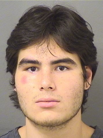  ZACHARY CHARLES MCCARTHY Results from Palm Beach County Florida for  ZACHARY CHARLES MCCARTHY