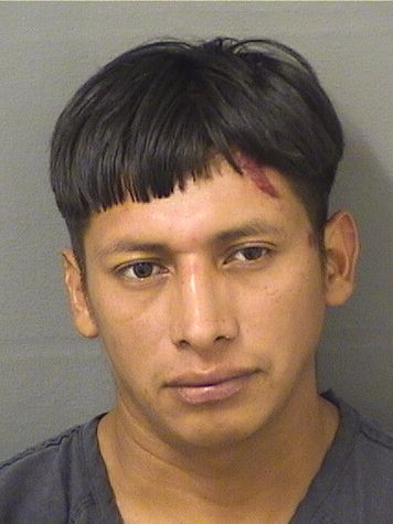  FRANCISCO ANDRES ALONZOMIGUEL Results from Palm Beach County Florida for  FRANCISCO ANDRES ALONZOMIGUEL