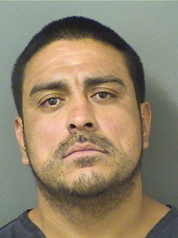  ANTONIO REYES Results from Palm Beach County Florida for  ANTONIO REYES