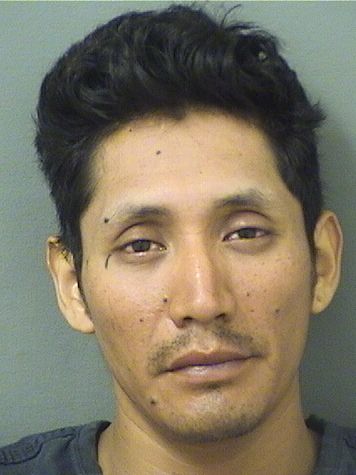  CESAR AMILCAR LOPEZJUAN Resultados de la busqueda para Palm Beach County Florida para  CESAR AMILCAR LOPEZJUAN