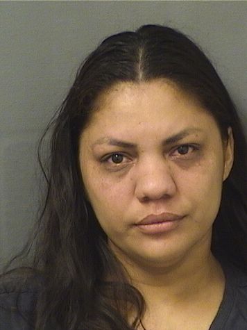  MAYRA ALEJANDRA MEJIAGALDAMEZ Results from Palm Beach County Florida for  MAYRA ALEJANDRA MEJIAGALDAMEZ
