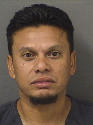  ELVIN OMAR GUZMANCARRANZA Results from Palm Beach County Florida for  ELVIN OMAR GUZMANCARRANZA