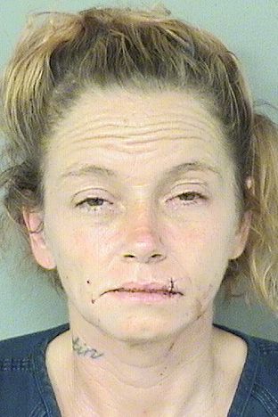  RHONDA E JOHNSON Results from Palm Beach County Florida for  RHONDA E JOHNSON