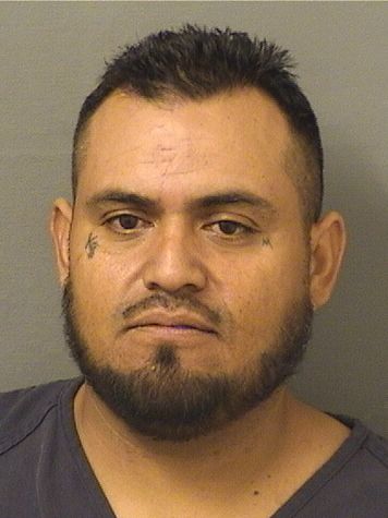  ODILON MONDRAGON SALGADO Results from Palm Beach County Florida for  ODILON MONDRAGON SALGADO