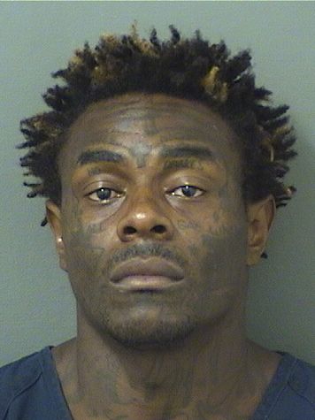  BRANDON JAMAL CAMERON Results from Palm Beach County Florida for  BRANDON JAMAL CAMERON