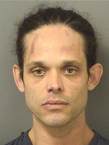  CEDRICK CASTAY Results from Palm Beach County Florida for  CEDRICK CASTAY