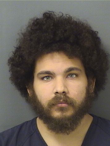  JOHAN T MASON Results from Palm Beach County Florida for  JOHAN T MASON