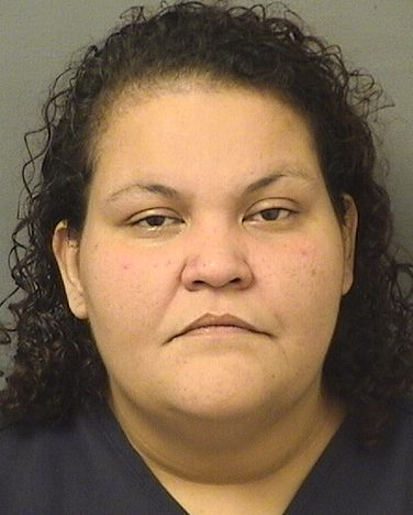  EVELYN MARIA PEREZ Results from Palm Beach County Florida for  EVELYN MARIA PEREZ