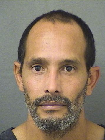  YOIMIR PAVONGONZALEZ Results from Palm Beach County Florida for  YOIMIR PAVONGONZALEZ