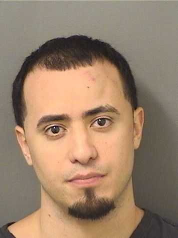  GERSON LONDONO Results from Palm Beach County Florida for  GERSON LONDONO