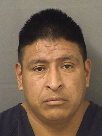  PEDRO MATEO ANDRESRAYMUNDO Results from Palm Beach County Florida for  PEDRO MATEO ANDRESRAYMUNDO