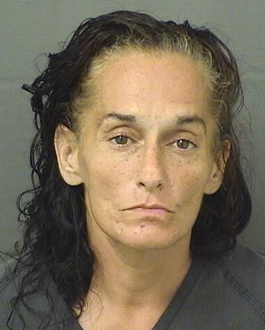 BRENDA LEE HIGGS Results from Palm Beach County Florida for  BRENDA LEE HIGGS