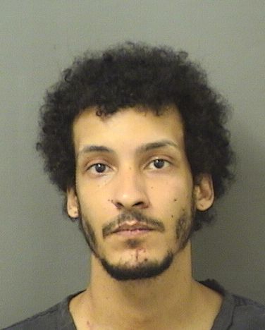  JUAN ULISES NADIV RIVERA Results from Palm Beach County Florida for  JUAN ULISES NADIV RIVERA