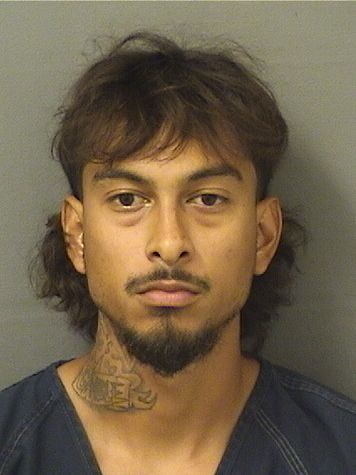  SEBASTIAN ALVIZO Results from Palm Beach County Florida for  SEBASTIAN ALVIZO