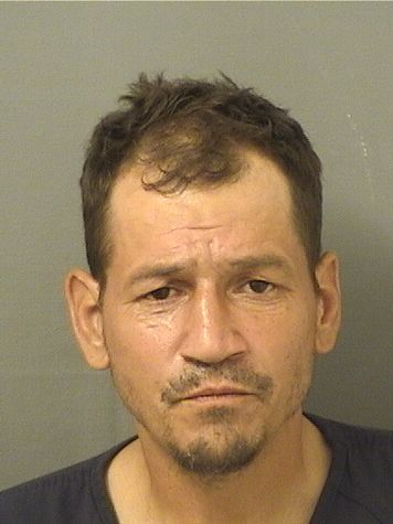 JACOB I DELVALLE Results from Palm Beach County Florida for  JACOB I DELVALLE