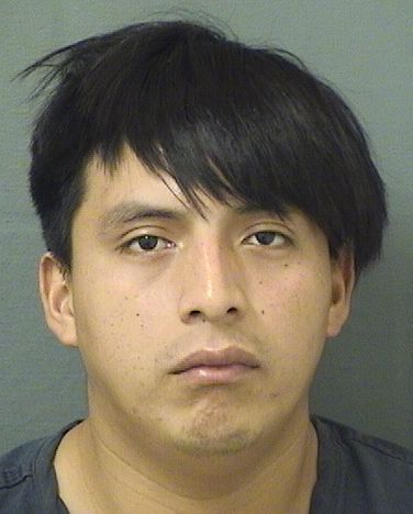  FABIO MENDEZPEREZ Results from Palm Beach County Florida for  FABIO MENDEZPEREZ