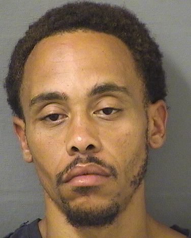  TROY ANTHONY REID Results from Palm Beach County Florida for  TROY ANTHONY REID