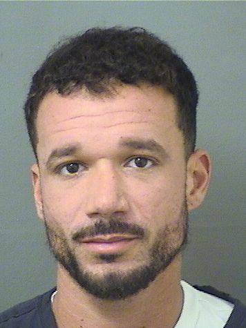  TYLER BRIAN TONTODONATO Results from Palm Beach County Florida for  TYLER BRIAN TONTODONATO