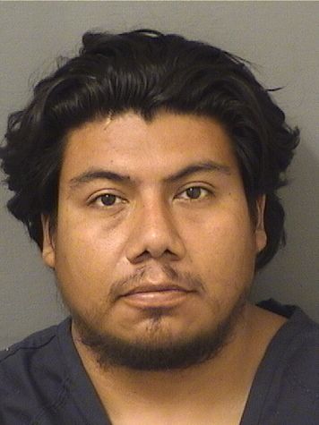  BYRON RENALDO SEBASTIANVASQUEZ Results from Palm Beach County Florida for  BYRON RENALDO SEBASTIANVASQUEZ