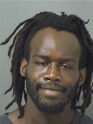  MICHAEL CLEVELAND J BRINSON Results from Palm Beach County Florida for  MICHAEL CLEVELAND J BRINSON