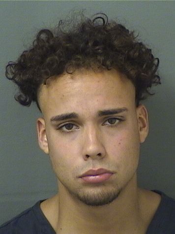  PEDRO ALVAREZ Results from Palm Beach County Florida for  PEDRO ALVAREZ