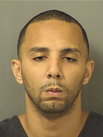  SHAQUAN A DIPALO Results from Palm Beach County Florida for  SHAQUAN A DIPALO