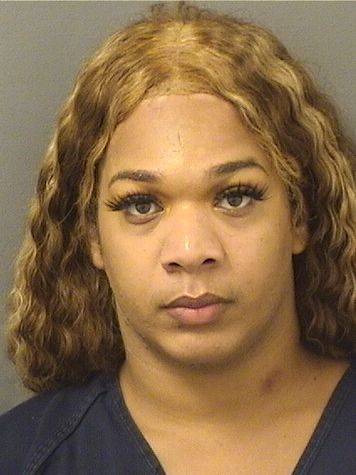  AMBER HAZEL LITTLEJOHN Results from Palm Beach County Florida for  AMBER HAZEL LITTLEJOHN