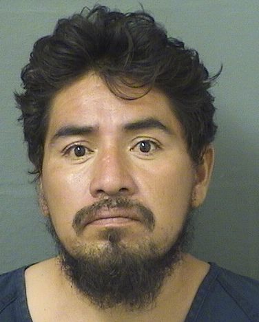  ALEJANDRO ELIZALDE MARTINEZ Results from Palm Beach County Florida for  ALEJANDRO ELIZALDE MARTINEZ