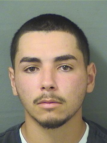  RAFAEL UPIERRE Results from Palm Beach County Florida for  RAFAEL UPIERRE