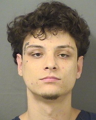  NICHOLAS CARMINE TOSTA Results from Palm Beach County Florida for  NICHOLAS CARMINE TOSTA