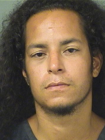  MOISE B MOJICA PEREZ Results from Palm Beach County Florida for  MOISE B MOJICA PEREZ