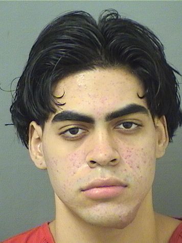  ALEXANDER JESUS PINEDAPEREZ Results from Palm Beach County Florida for  ALEXANDER JESUS PINEDAPEREZ
