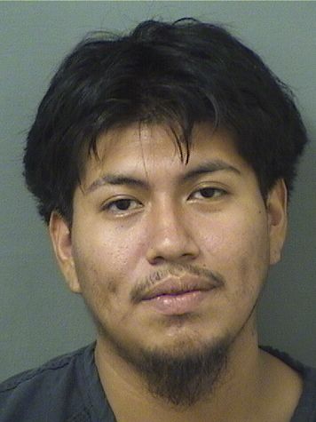  JOSE MIGUEL LUCASDELOLLA Results from Palm Beach County Florida for  JOSE MIGUEL LUCASDELOLLA