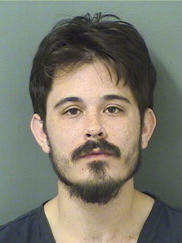  ETHAN ANDRU COLON Results from Palm Beach County Florida for  ETHAN ANDRU COLON