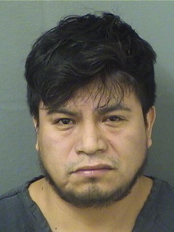  JOSE DIAZLOPEZ Results from Palm Beach County Florida for  JOSE DIAZLOPEZ