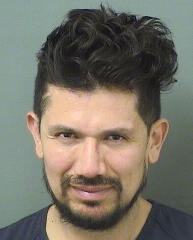  JUAN P LIZCANO Results from Palm Beach County Florida for  JUAN P LIZCANO