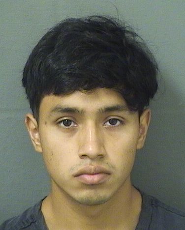  JEFFERSON ALEXANDER PEREZ GONZALEZ Results from Palm Beach County Florida for  JEFFERSON ALEXANDER PEREZ GONZALEZ