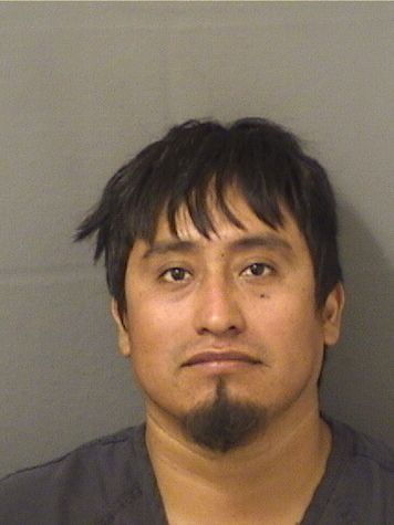  LORENZO CASIMIRO VASQUEZPEREZ Results from Palm Beach County Florida for  LORENZO CASIMIRO VASQUEZPEREZ