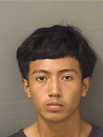  ALEXANDER GANCINO Results from Palm Beach County Florida for  ALEXANDER GANCINO