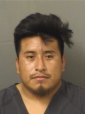  DAVID RAMIREZ GOMEZ Results from Palm Beach County Florida for  DAVID RAMIREZ GOMEZ