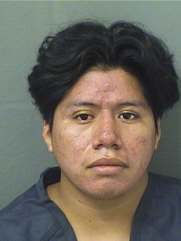  FRANCIS GEOVANY MENDEZDOMINGO Results from Palm Beach County Florida for  FRANCIS GEOVANY MENDEZDOMINGO