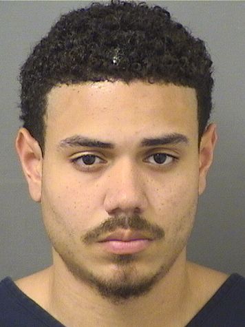 JULIAN OMAR PINEDA Results from Palm Beach County Florida for  JULIAN OMAR PINEDA