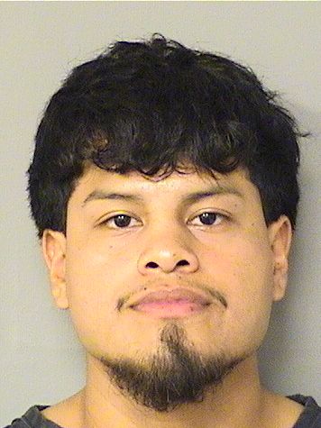  JORGE BRAVO Results from Palm Beach County Florida for  JORGE BRAVO