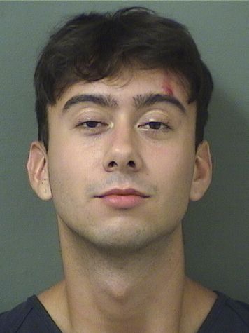  ALEXANDER JUAN REYES Results from Palm Beach County Florida for  ALEXANDER JUAN REYES